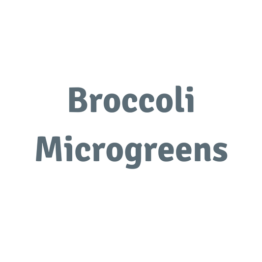 Broccoli Microgreens